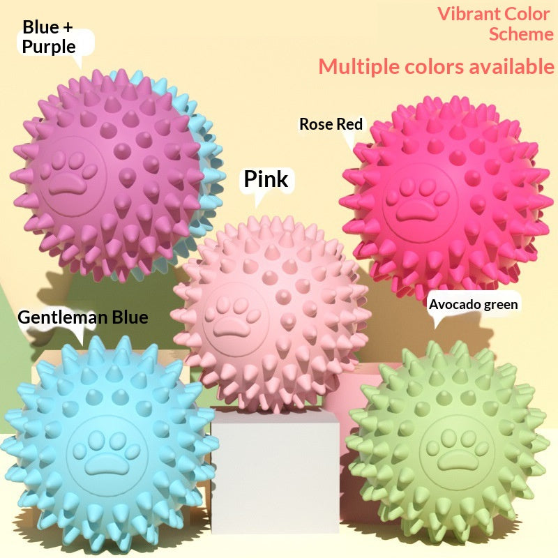 Balle de jouets pour chiens de compagnie