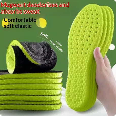 Semelles confortables respirantes et absorbantes pour le long Perio