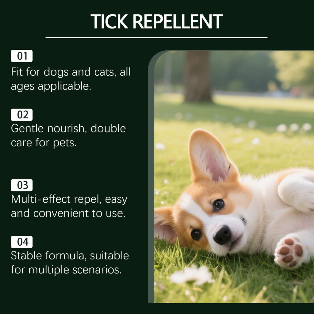 Répulsif pour animaux domestiques répulsifs pour chiens chats Peau de chien Spray externe d'application