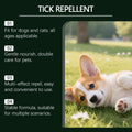 Répulsif pour animaux domestiques répulsifs pour chiens chats Peau de chien Spray externe d'application