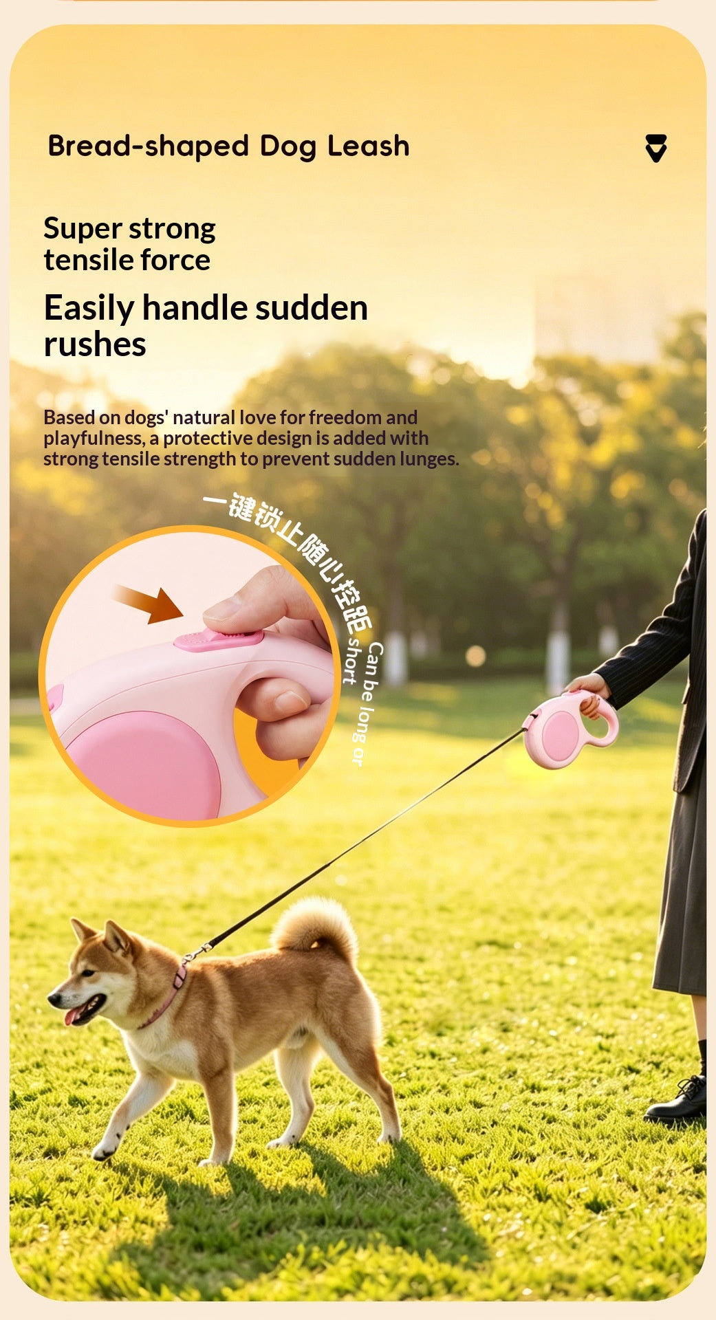 Feuille automatique rétractable pour chien
