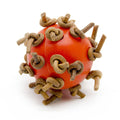 Balle à Chewing interactive en plastique pour perroquet
