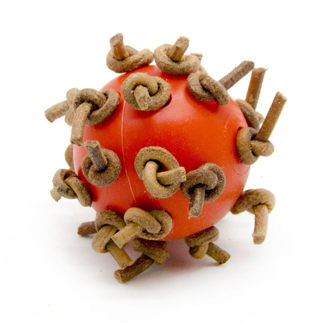 Balle à Chewing interactive en plastique pour perroquet
