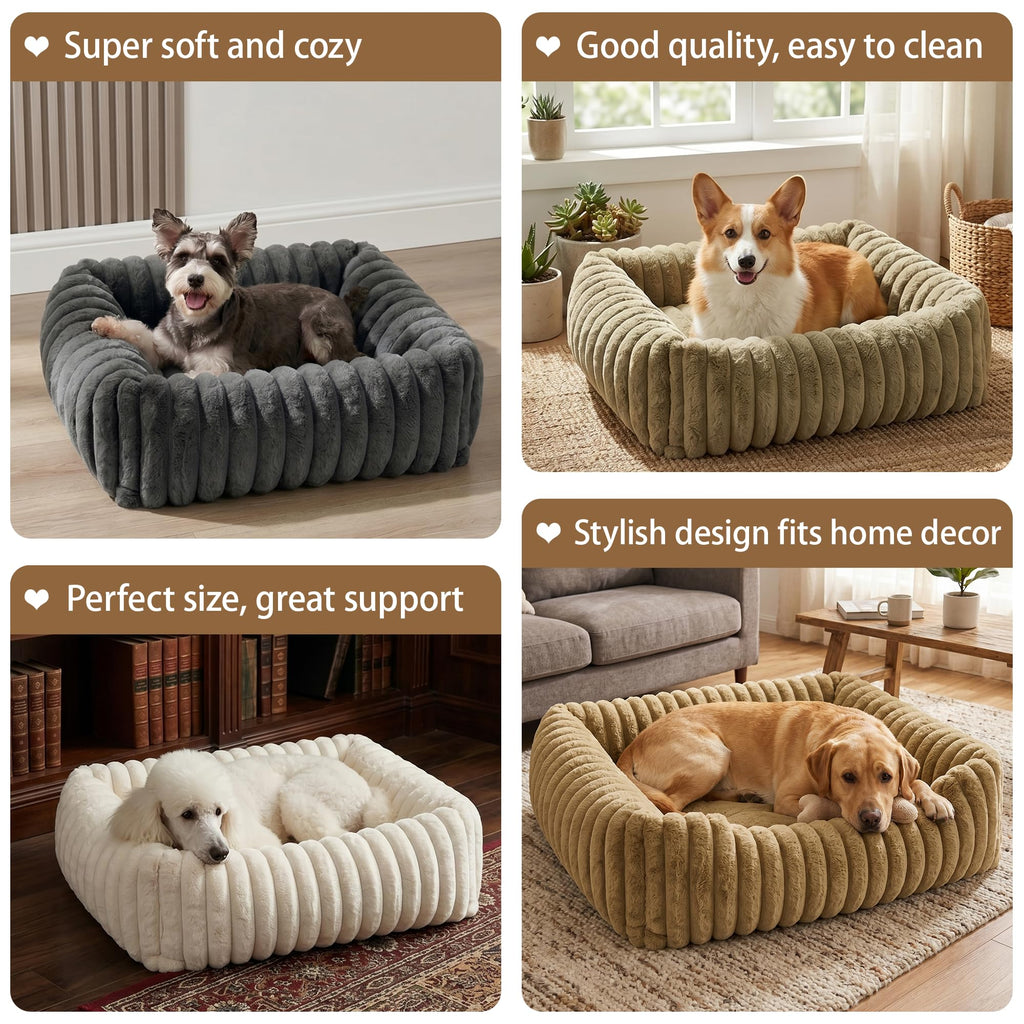 Lits pour chiens pour petits chiens moyens