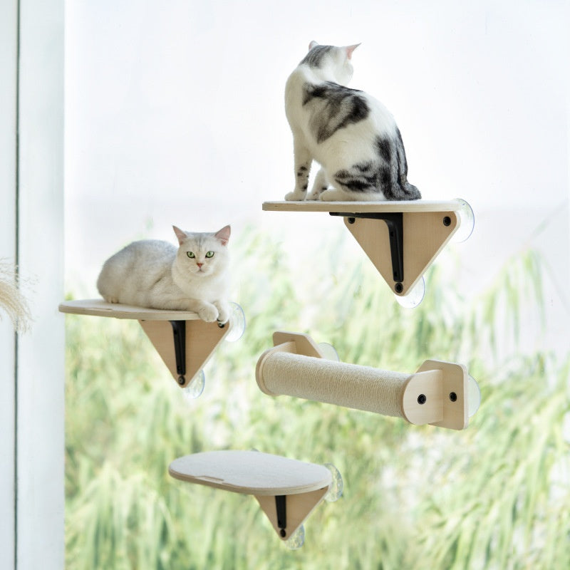 Meow Hu Wang est aussi Cat Scratch Trees ne couvrant pas une zone de mur de verre