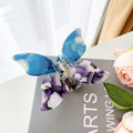 Coiffure papillon fille Clip tête arrière pan