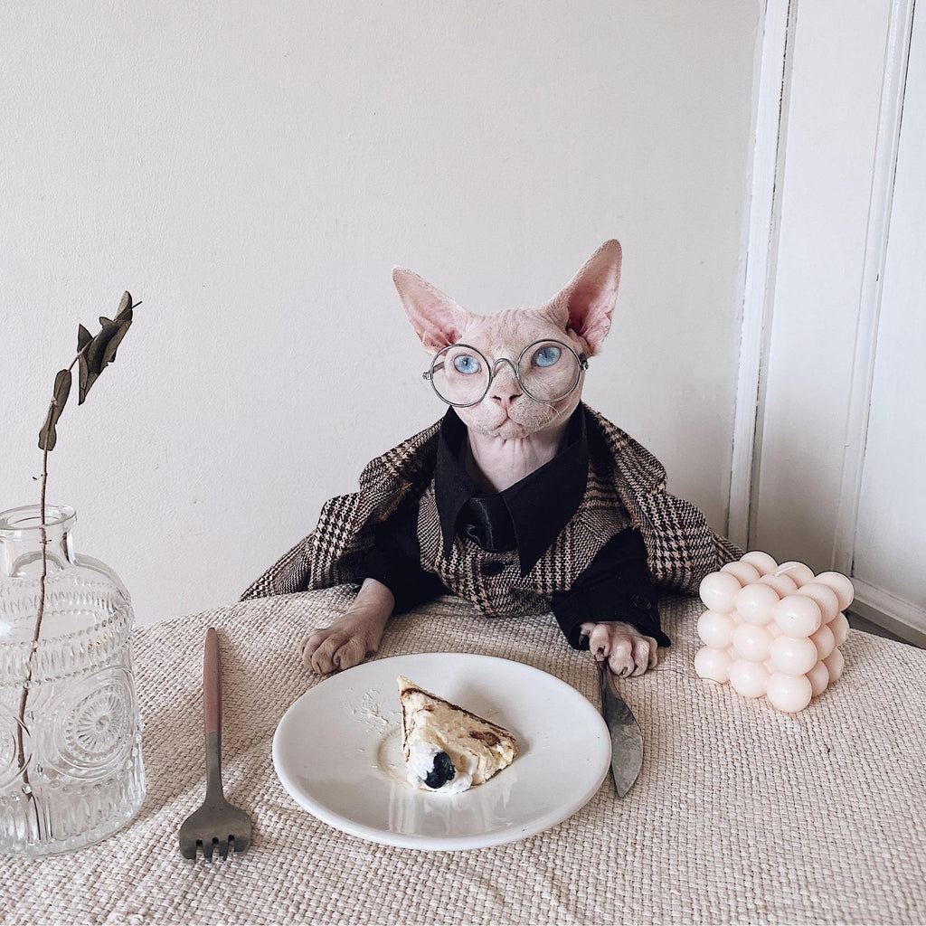 Robe de chat Sphynx Tie Vest Blazer Set pour chats sans cheveux