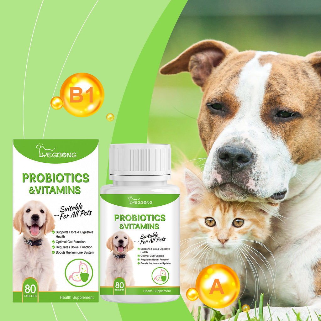 Probiotiques pour animaux de compagnie et comprimés de vitamine pour chiens et chats