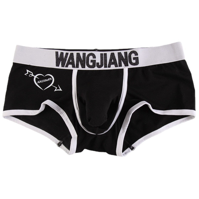 Sous-vêtements pour hommes Boxers Low Waist Coton U Convex Trunk Mode Sexy Boxers pour hommes