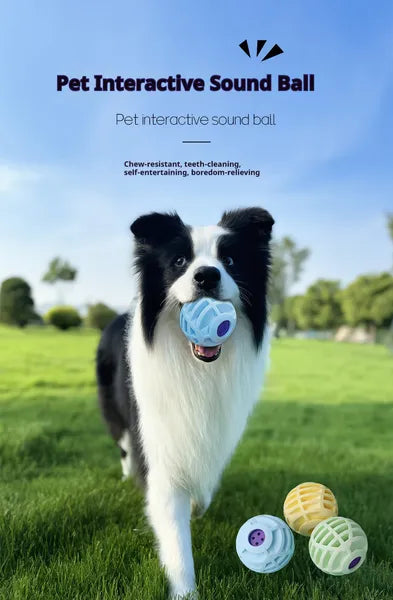Balle sonore interactive pour animaux de compagnie