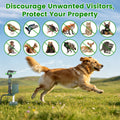 Capteur de mouvement à énergie solaire Sprinkler d'origine animale avec lumière clignotante animal extérieur