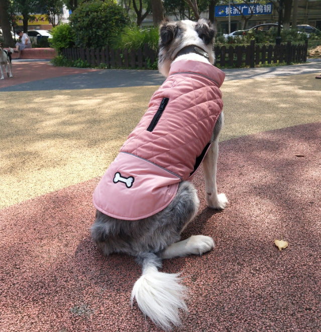 Mode Automne et hiver Vêtements de chien de plein air