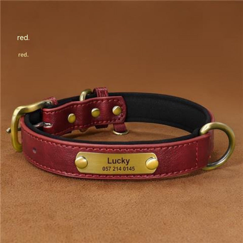 Collier de chien gravé avec des lettres pour prévenir la perte de collier