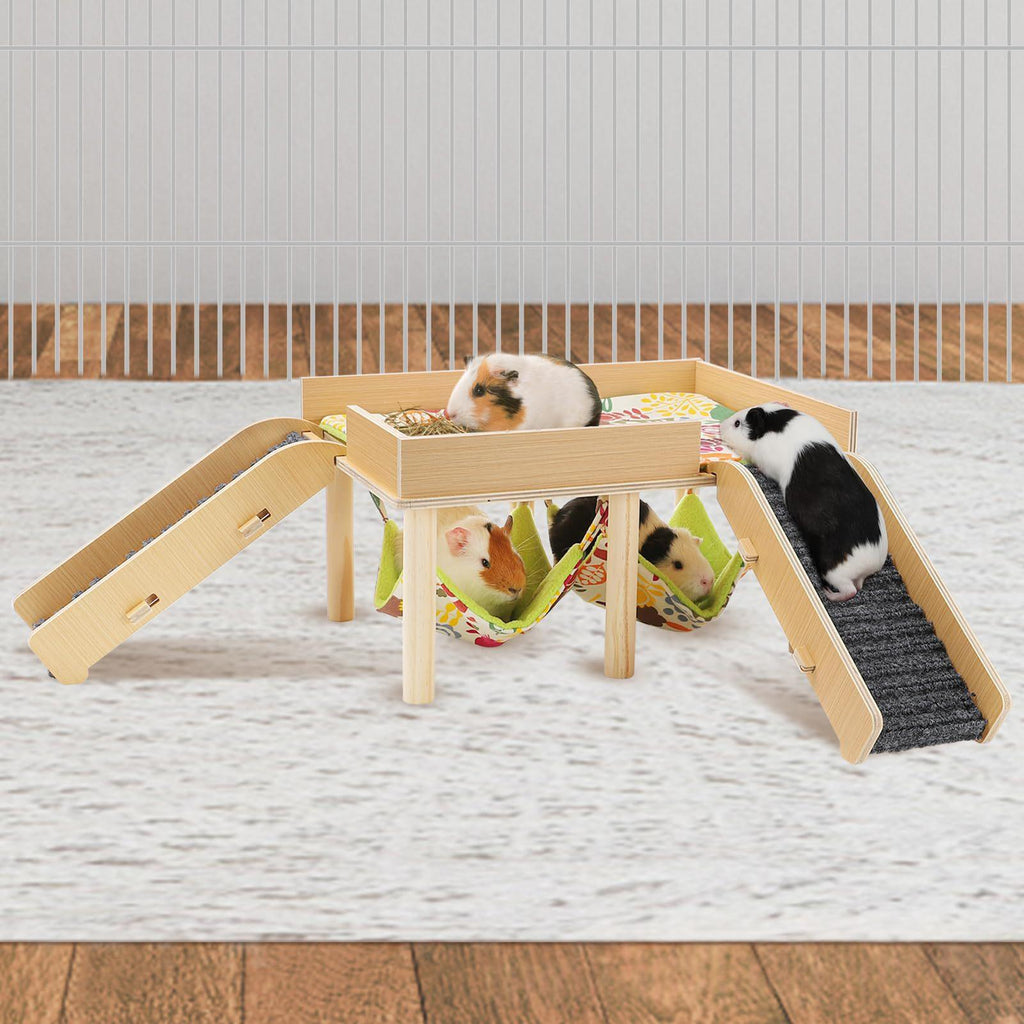 Nest double hamac de Guinée en bois avec un design amovible et une échelle pour les cages pour animaux de compagnie