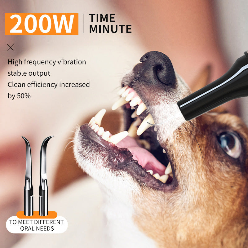 Pet dental scaler for dogs and cats, ultrasonic device
