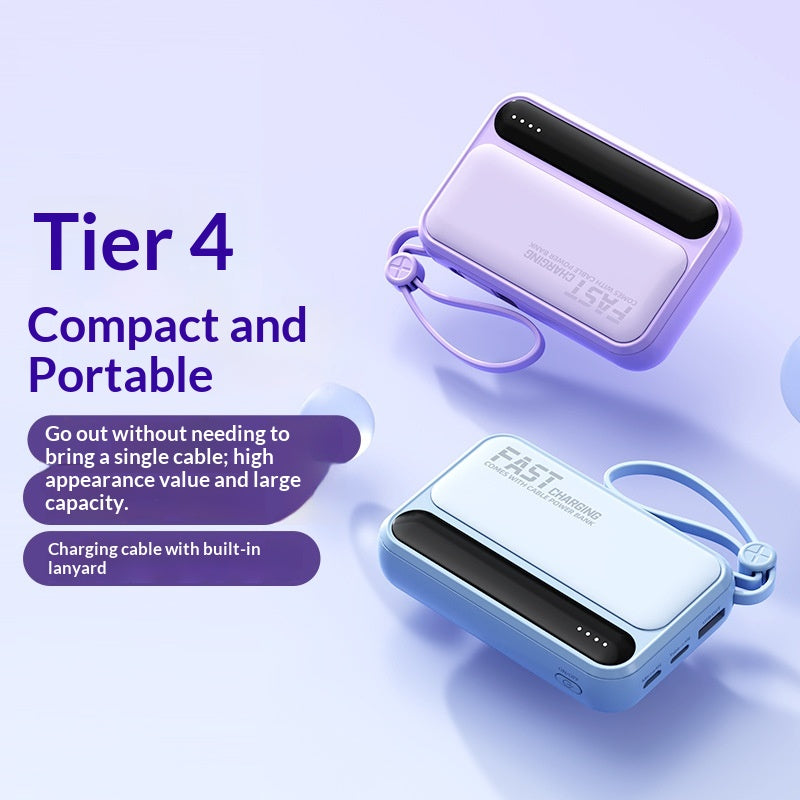 High-Capacity Portable Gift Power Bank