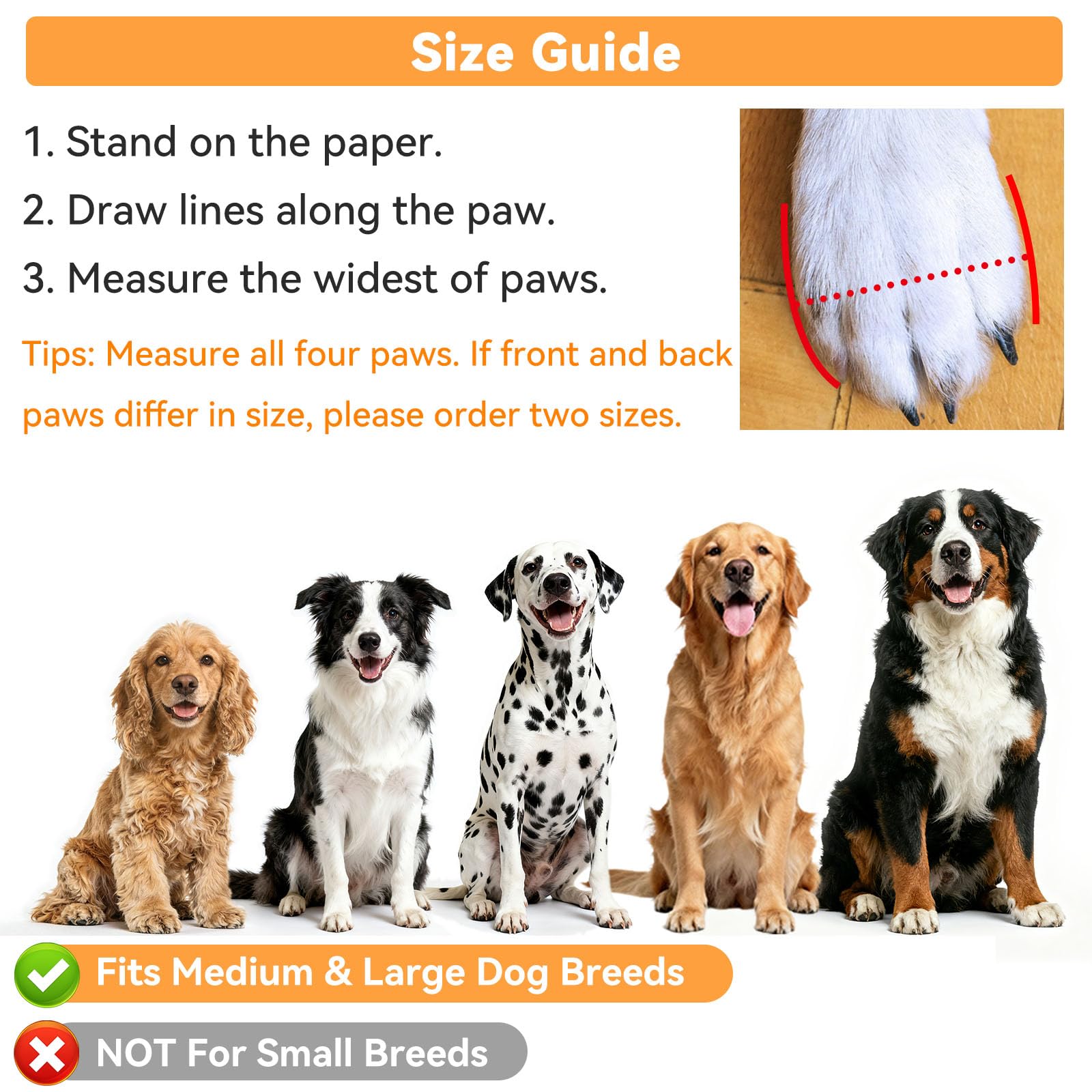 Bottes de chien résistant à l'eau pour chiens de taille moyenne