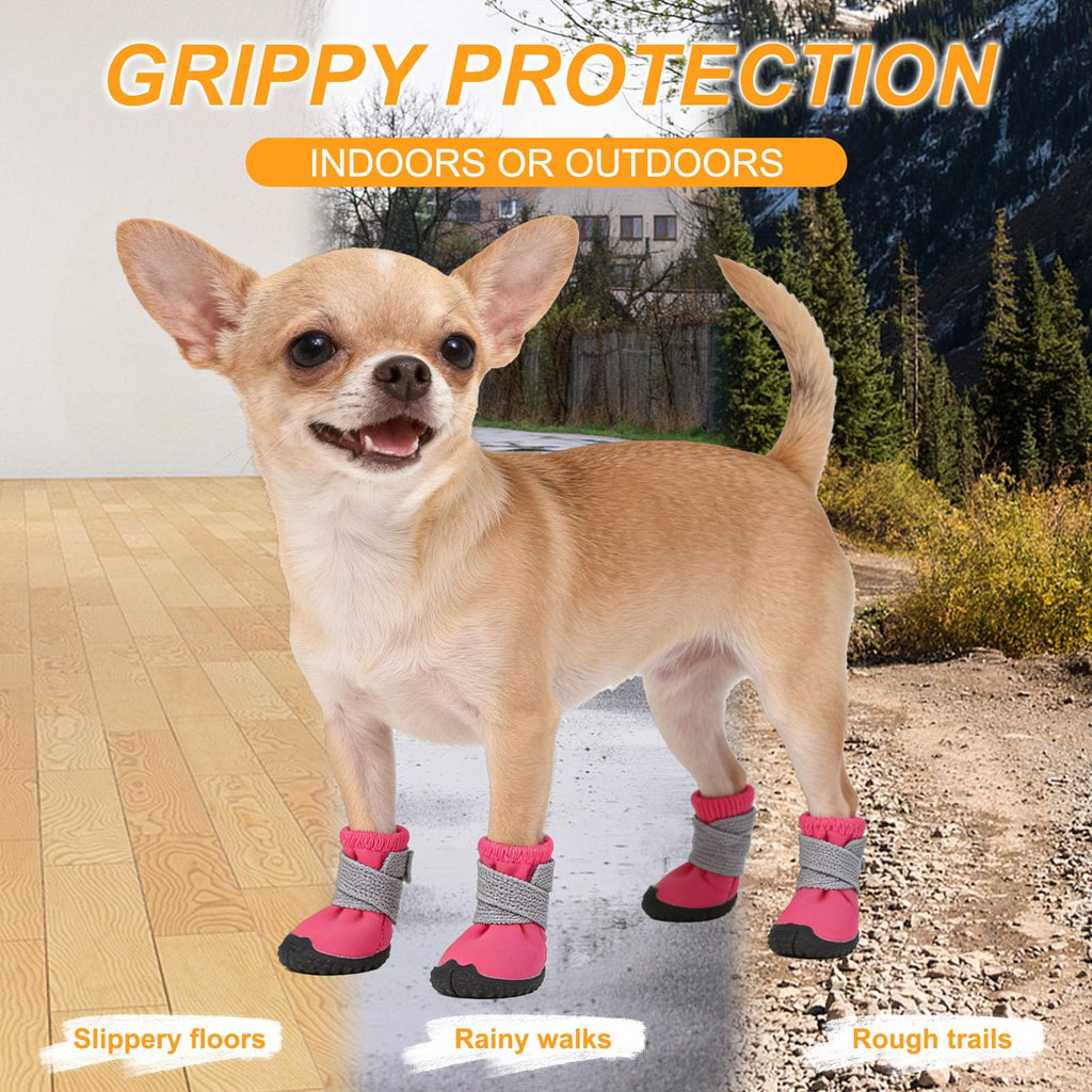 Chaussures pour chiens