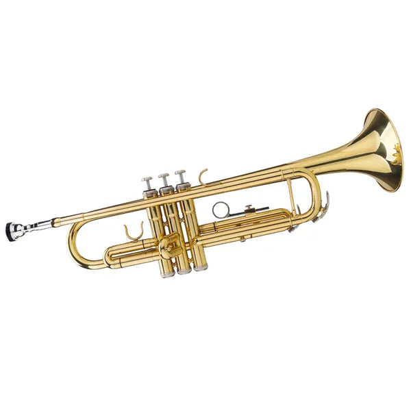 Drop B Tonalité réglable Gants de Trump Set Plaint Golden
