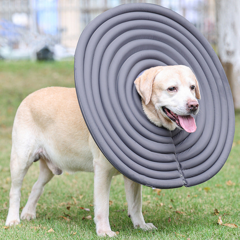 Pet Creative Summer Natation Anneau de protection contre le léchage et le biting