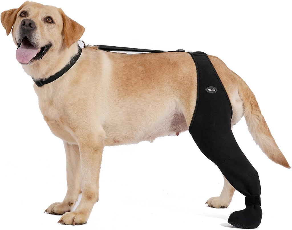 Chaussettes pour chiens pour empêcher les pattes de câlin