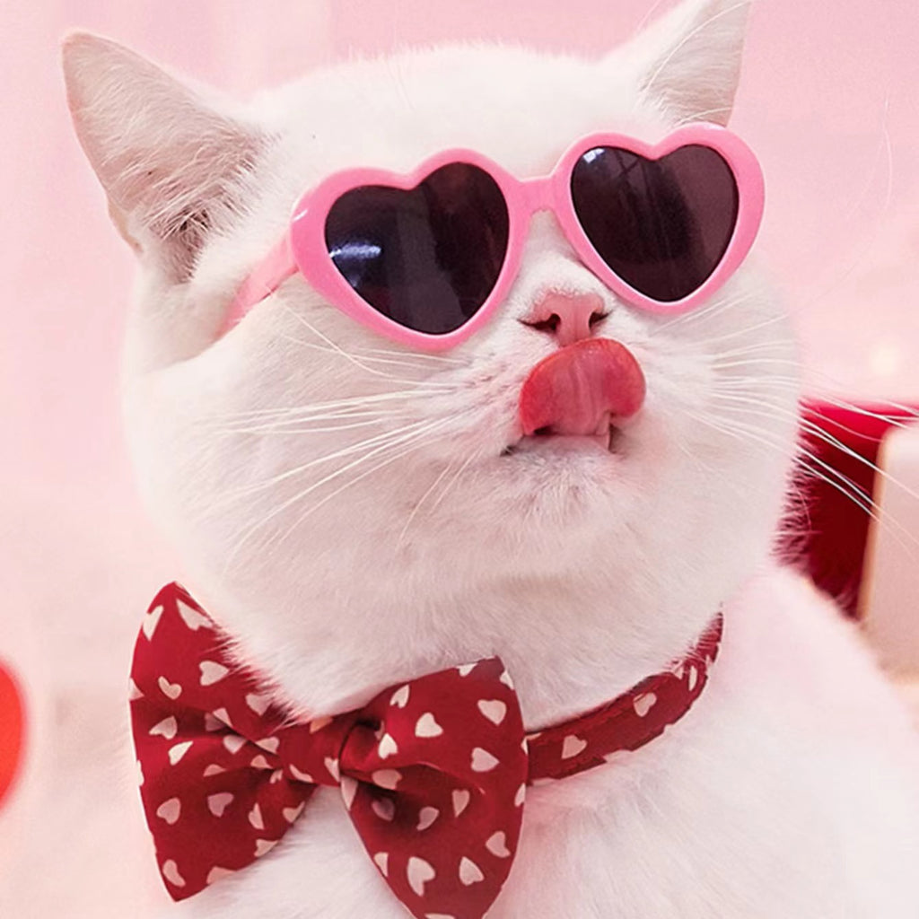 Lunettes de soleil poupée Pet Toy Accessoires