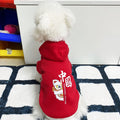 En automne et en hiver, les vêtements de chien sont mignons