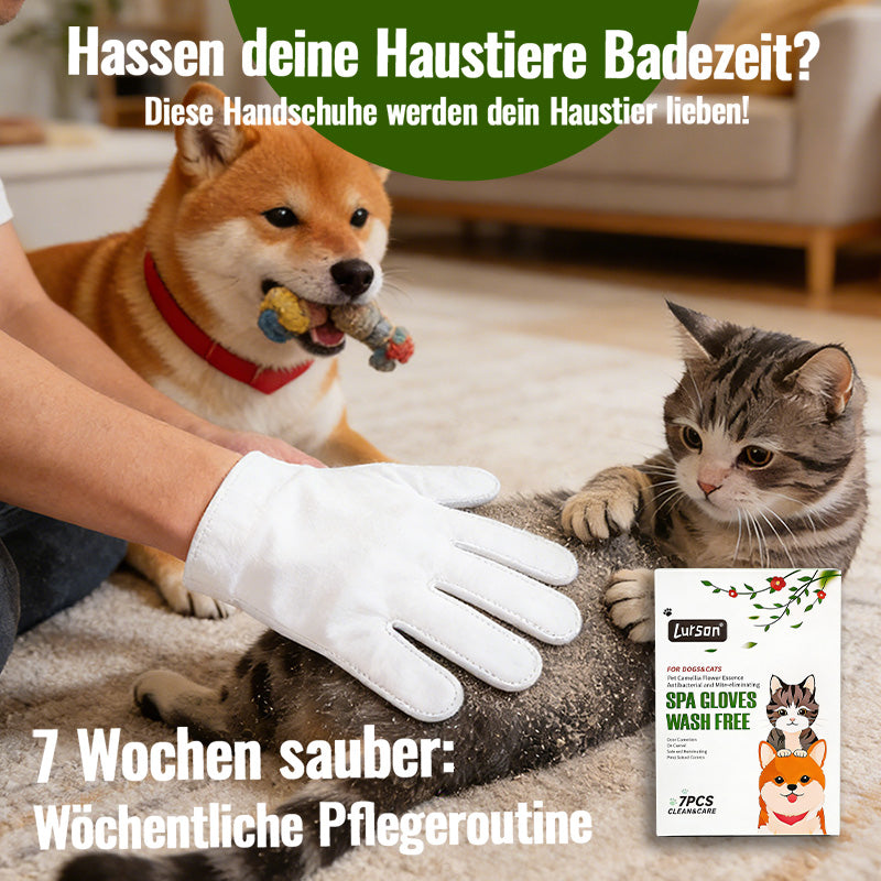 Gants antibactériens anti-poussières pour animaux de compagnie Camellia