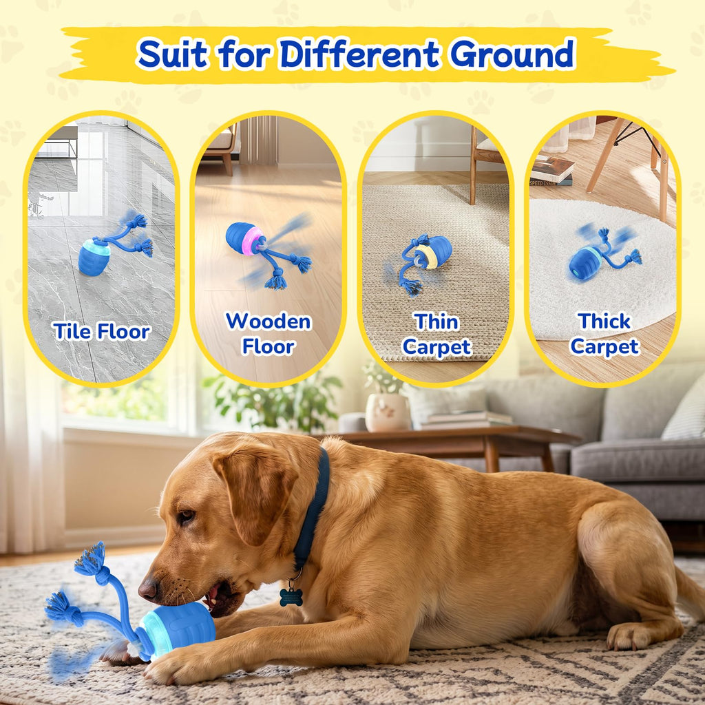 Jouets interactifs pour chiens