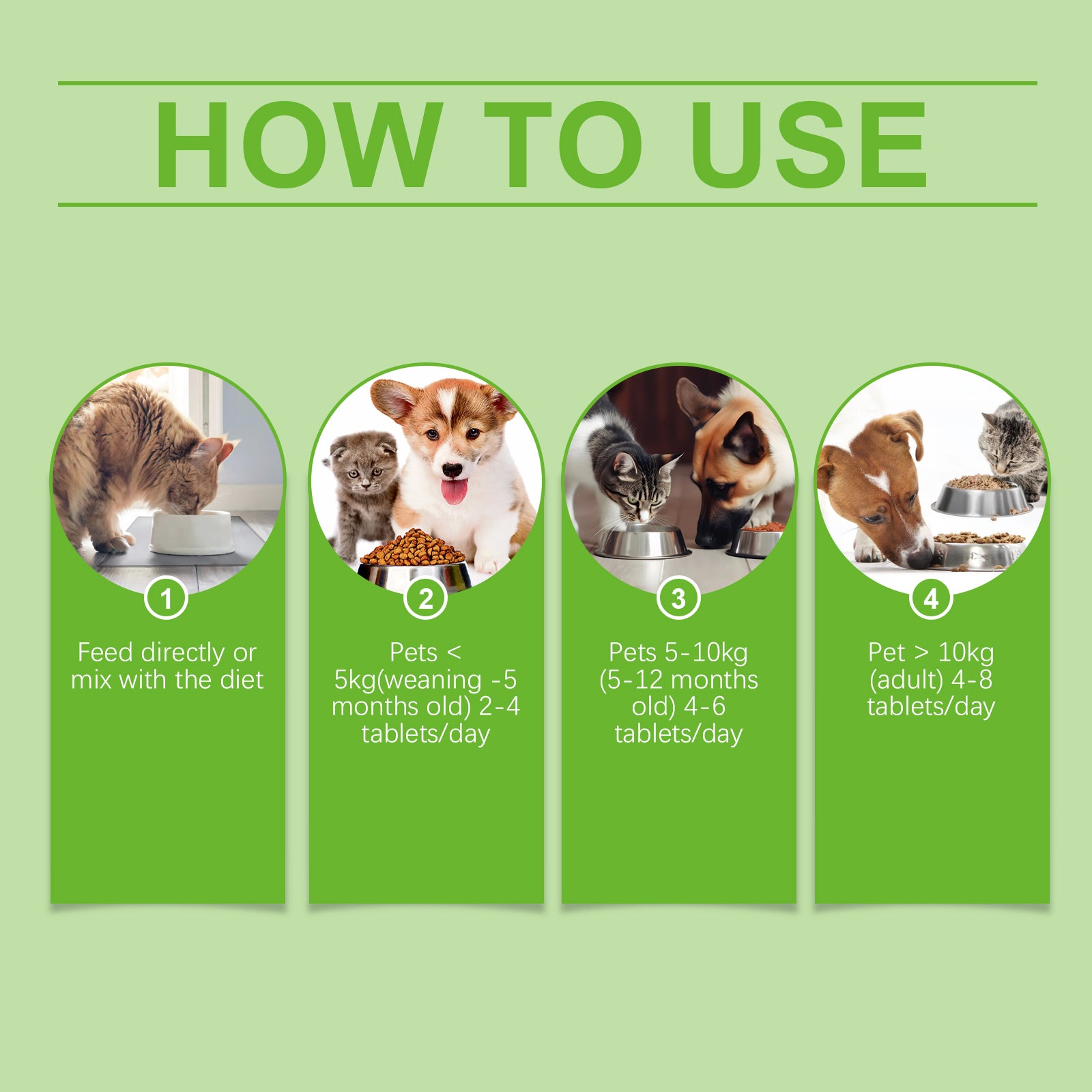 Probiotiques pour animaux de compagnie et comprimés de vitamine pour chiens et chats
