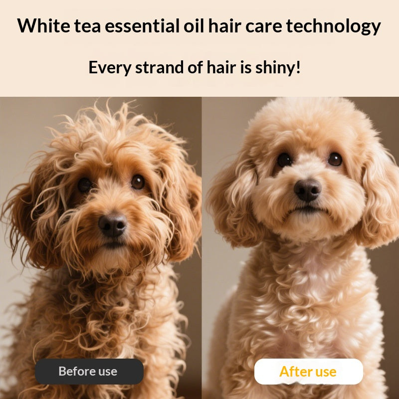 Shampooing chien pour animaux de compagnie Antibactérien et Désodorisant Longue durée