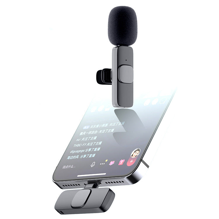 Microphone portable pour des entrevues en direct Radio et réduction du bruit