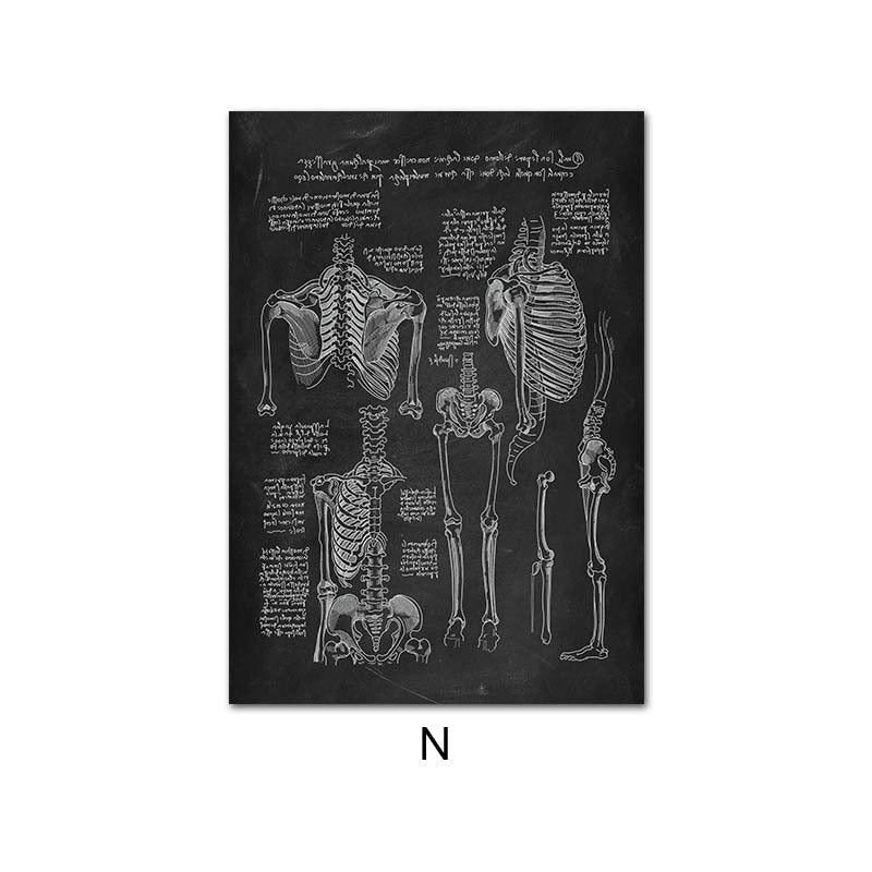 Peinture sur toile du système d'organes de squelette d'anatomie humaine