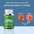 Capsules personnalisées