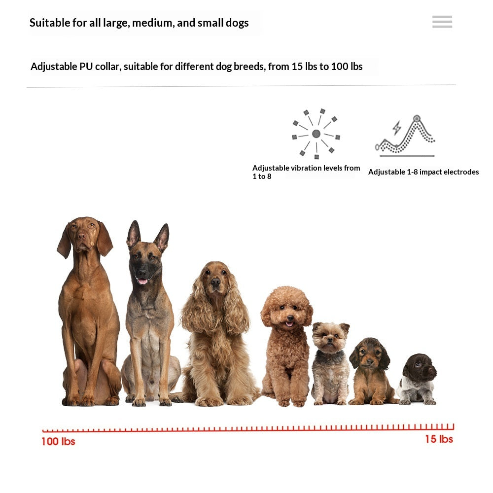 Collier d'entraînement de chien d'affichage numérique.