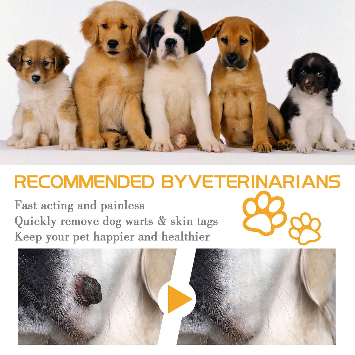 Yegbong Pet Repair Crème Chien et Chat Pet Soins et Réparation de la peau anormales