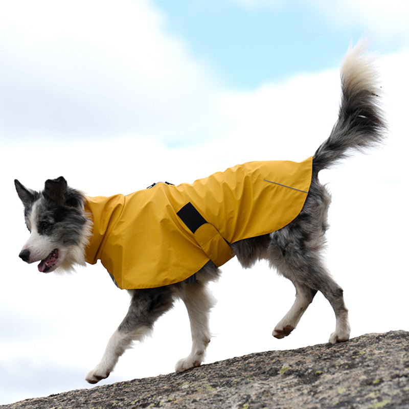 Pet Shell Veste de chien imperméable imperméable imperméable à l'eau