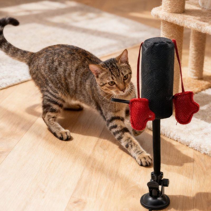 Jouet de printemps de boxe de chat domestique