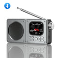 Professional MP3MP4 Radio Bluetooth Haut-parleur Portable Multimedia Player