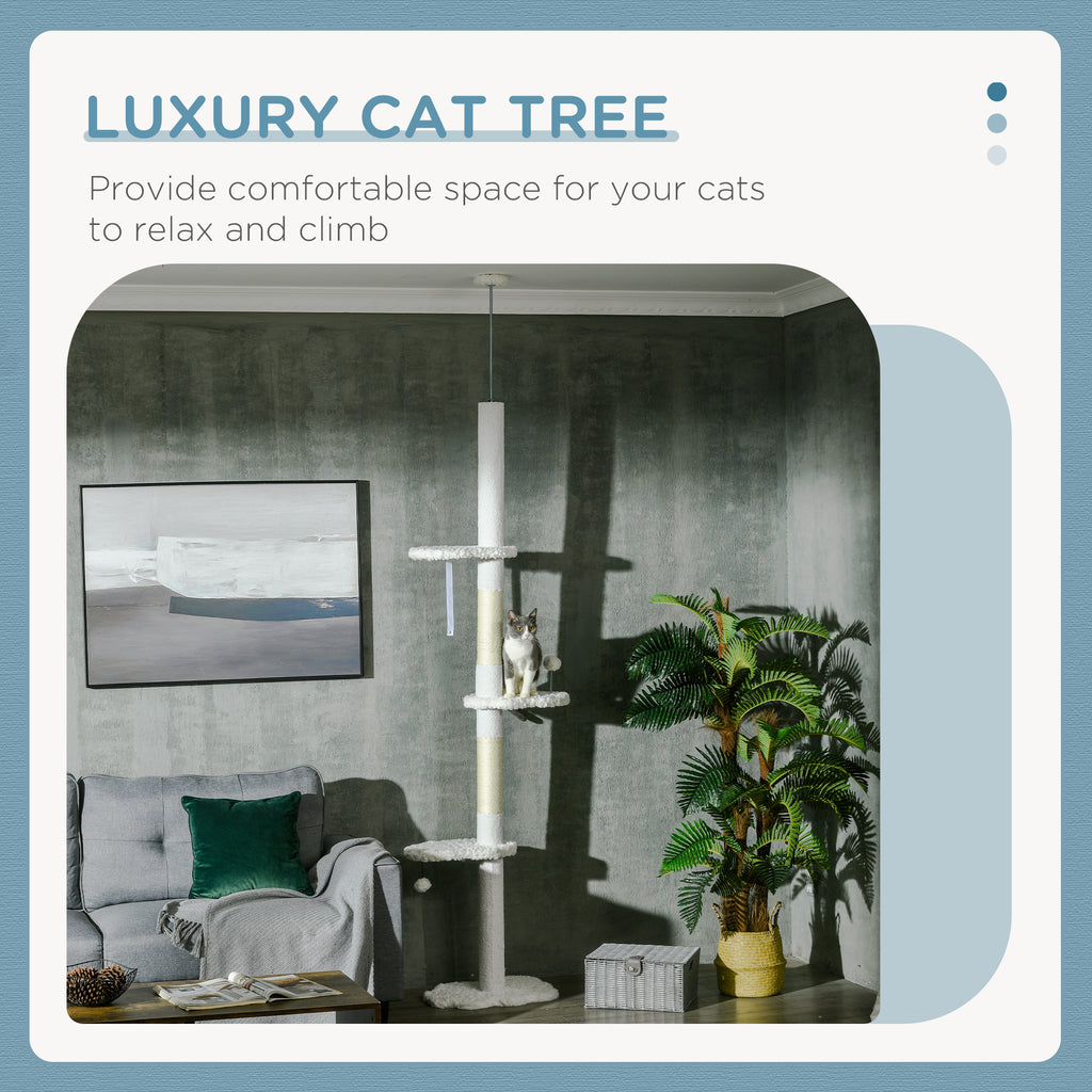 8,4 Sol jusqu'à l'arbre de chat plafond