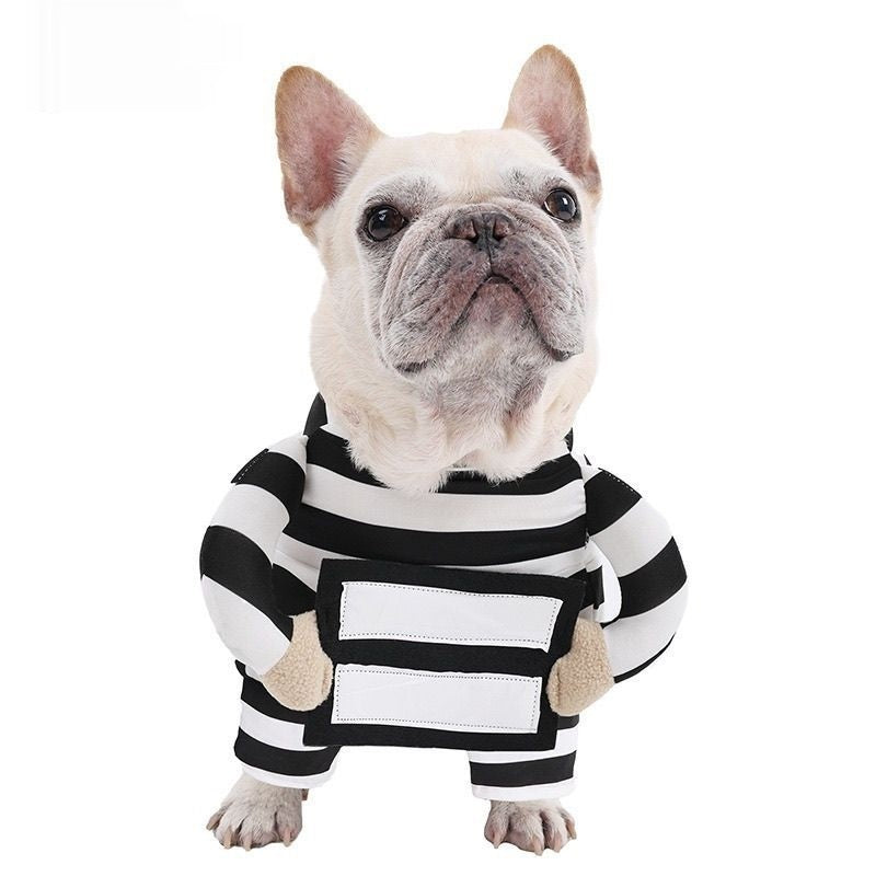 Costume de prisonnier de chien d'Halloween personnalisé