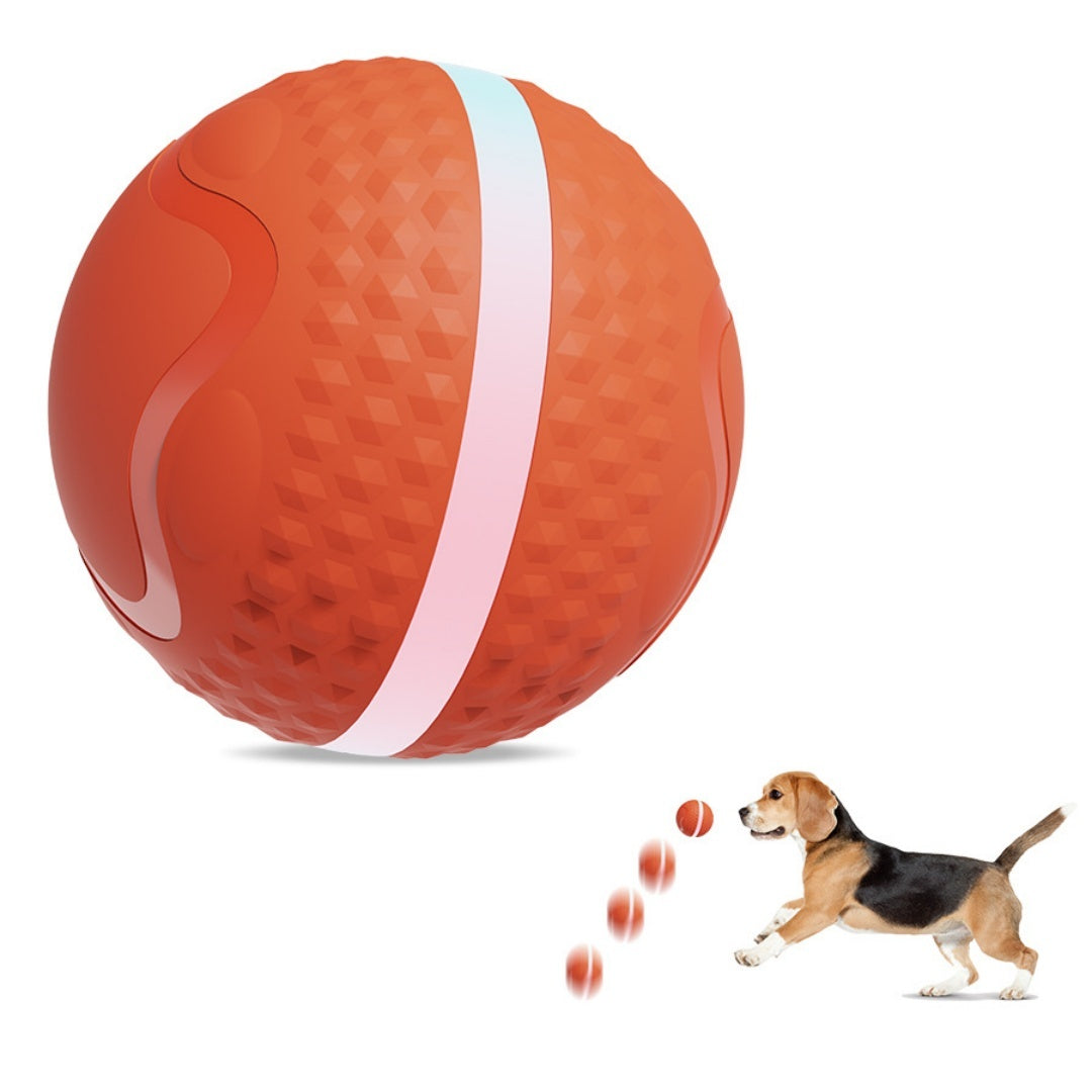 Jouet de chien de boule électrique lumineux et de chat