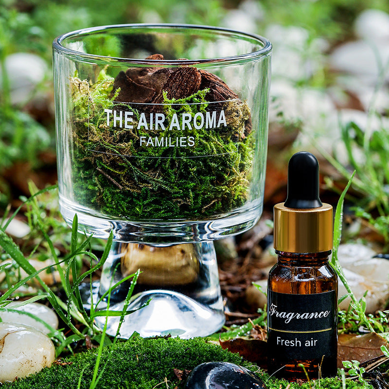 Pine Wood and Moss Aroma Diffuser Cup Ornement sans feu