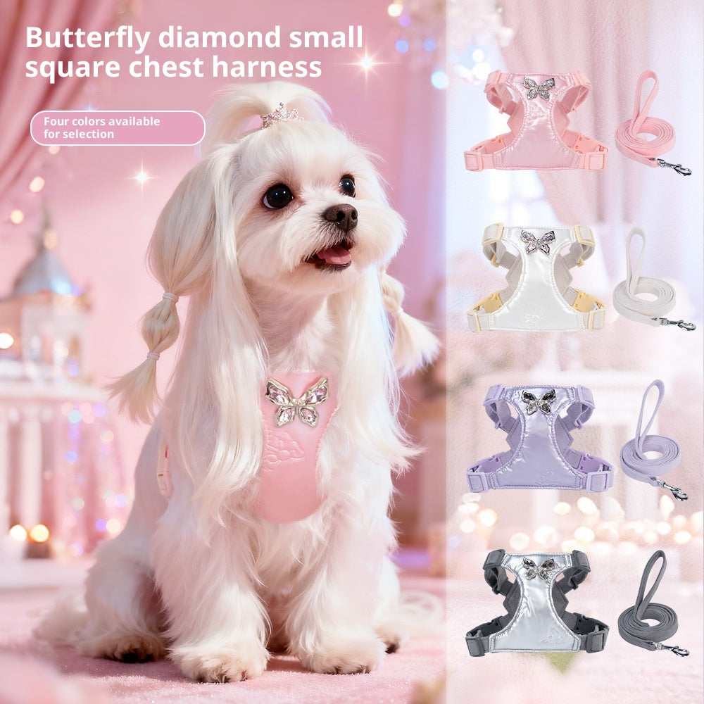 Strap de poitrine de petit chien facile de marche chien métal papillon main tenir corde