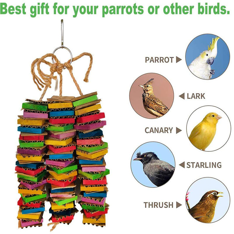Blocs de construction de jouets de gnawing pour perroquet détruits