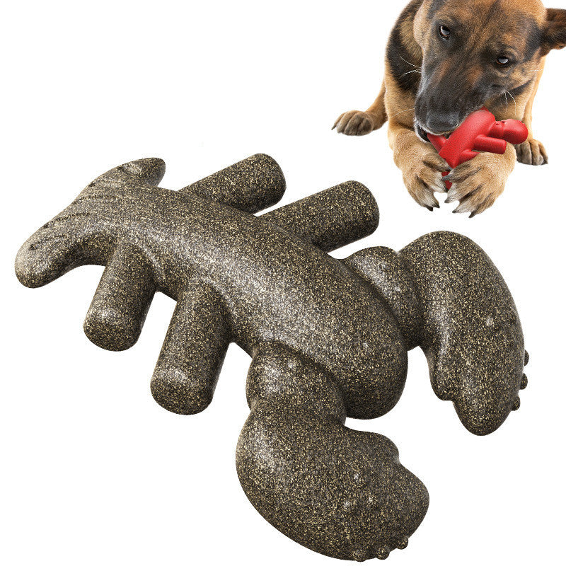 Jouet de lobster molaire pour chien à boules