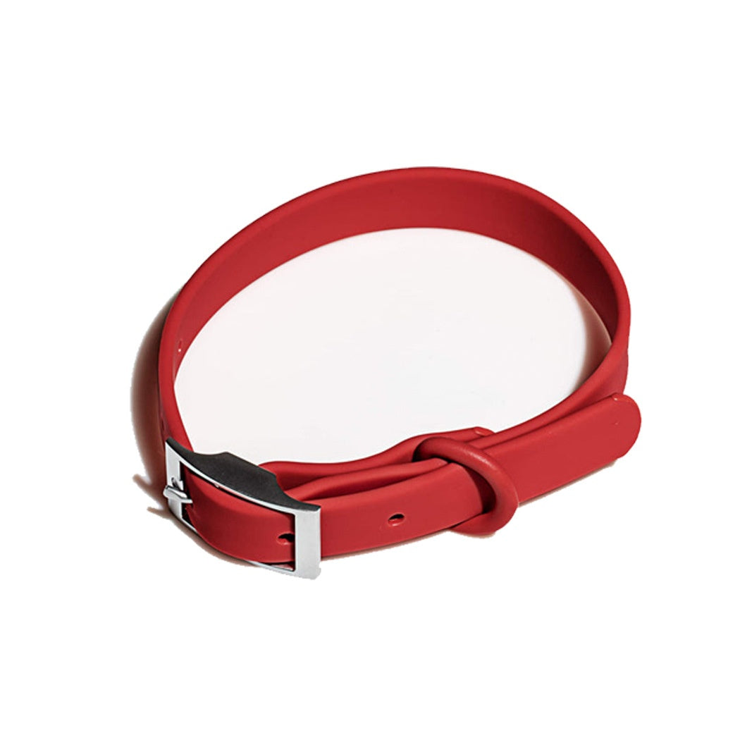 Collier de chien imperméable anti-strangulation Collier de chat