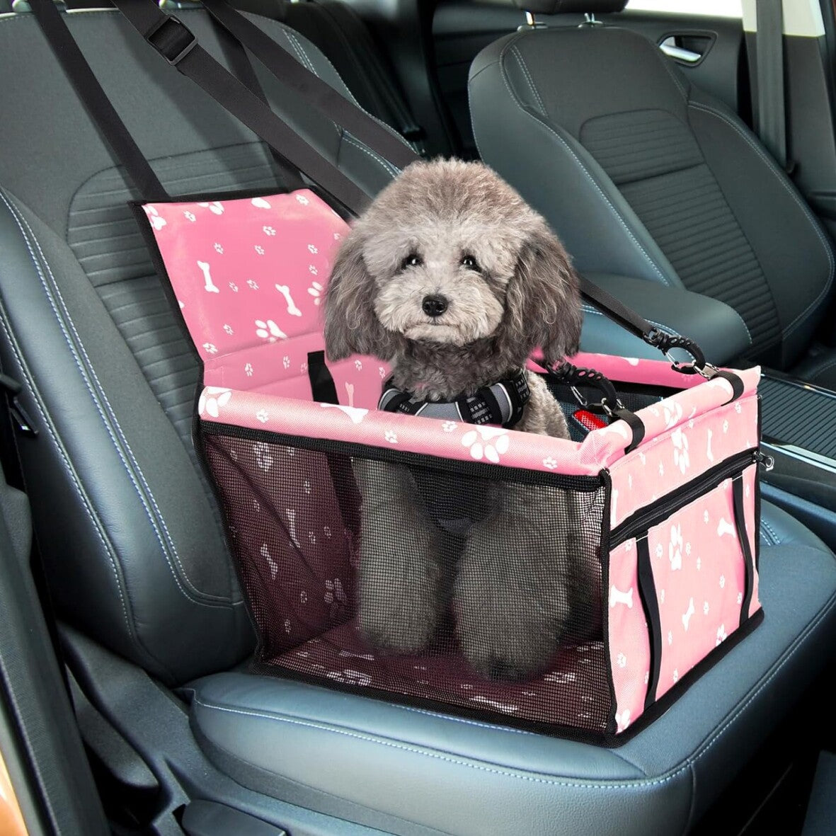 Siège de voiture pour chien pour petit animal de compagnie moyen
