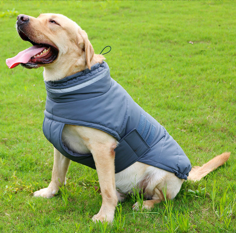 Manteau de chien Cold-Proof Warm Rain-Proof Vêtements de grand chien Corgi Vêtements Trench de chien