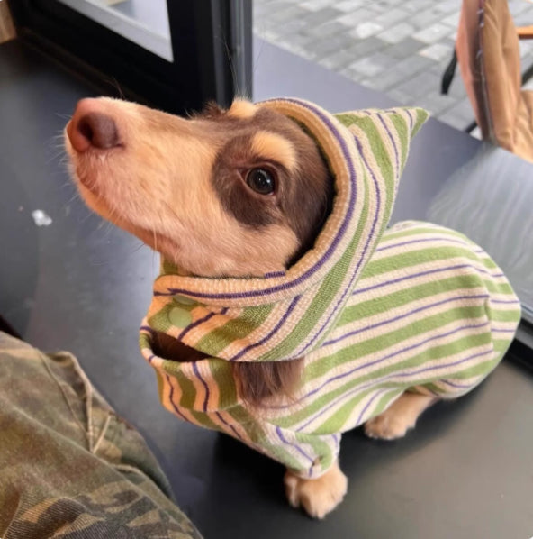 Chien de chien Automne et Veste d'hiver garder chaud nouveau